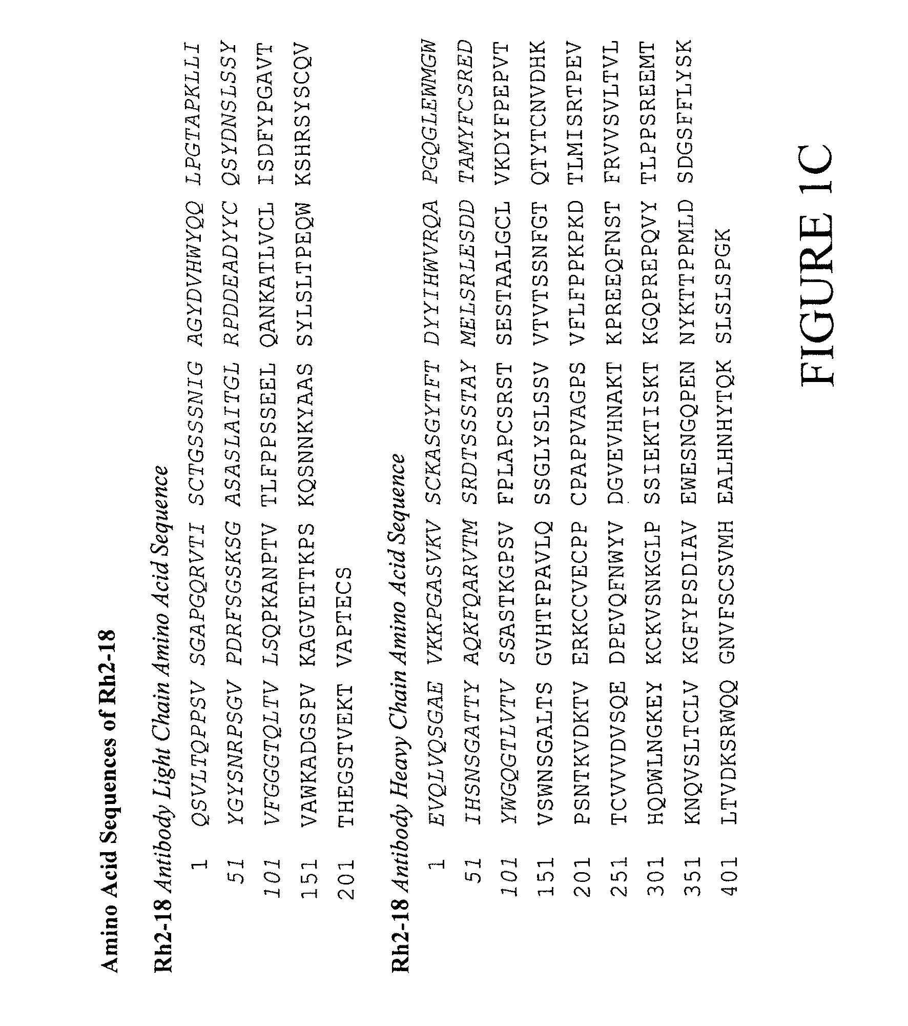 Antibodies specific for Dkk-1