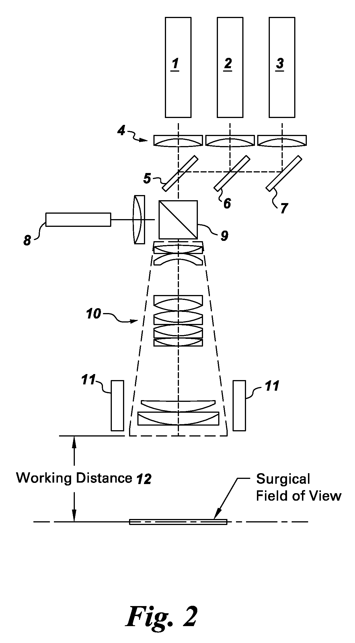 Systems for intraoperative nerve imaging