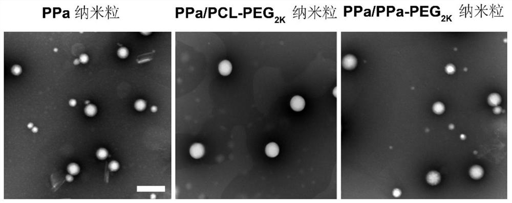 Pure photosensitizer self-assembled nanoparticles and preparation and application thereof