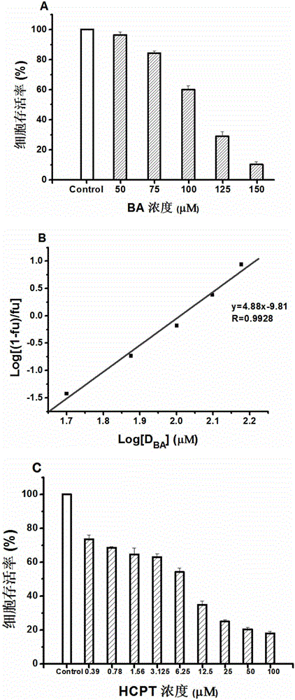 Pharmaceutical composition of baicalein and 10-hydroxycamptothecin and its application