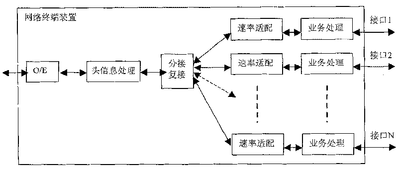 Network terminal apparatus in passive light network and data processing method thereof