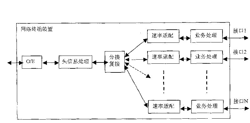 Network terminal apparatus in passive light network and data processing method thereof