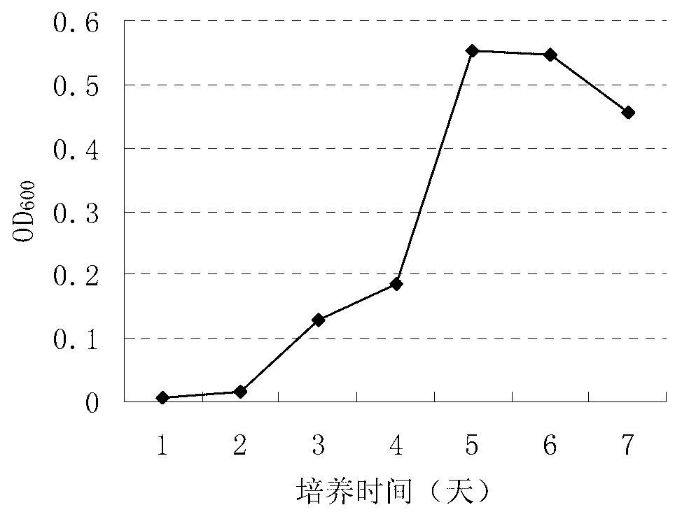 Phthalate degrading bacteria and application thereof