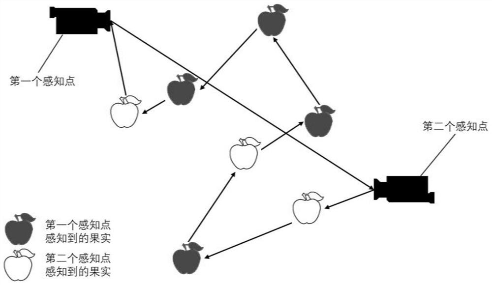 Dynamic planning method for picking sequence of sphere-like fruits