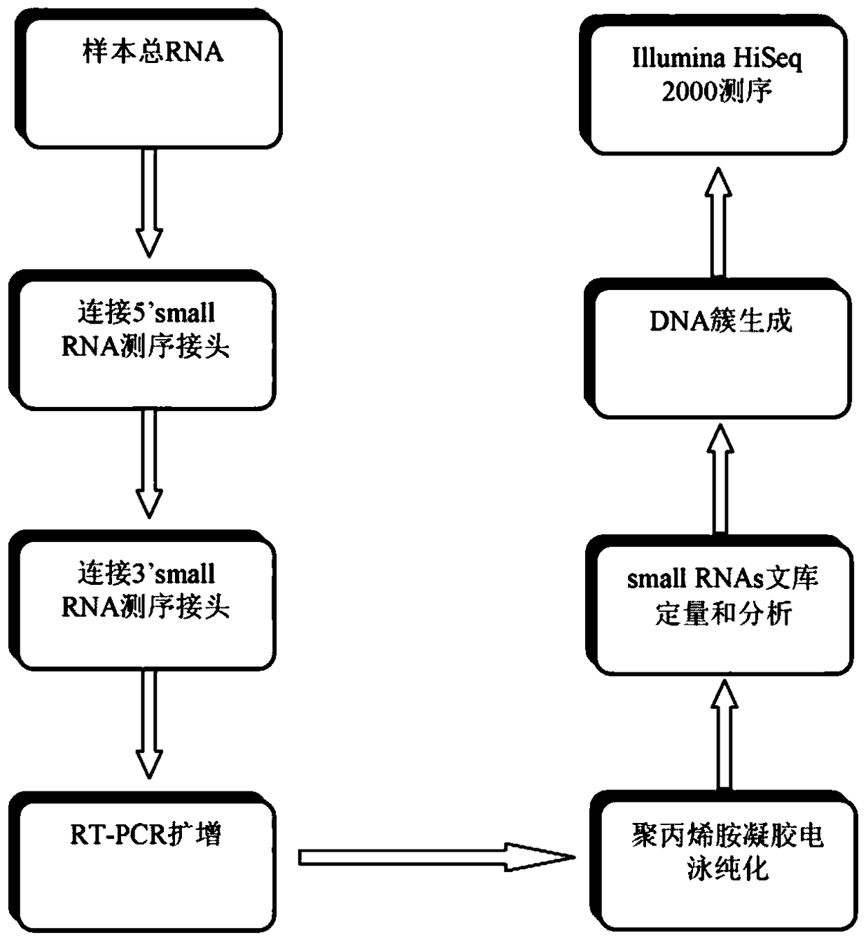 Acute myeloid leukemia miRNA and transcription factor system and its construction method and application