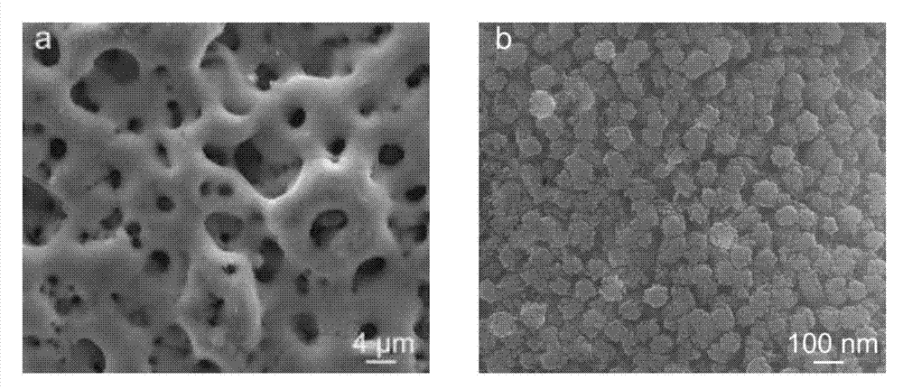Titanium dioxide/strontium and fluorine-containing hydroxyapatite bioactive nano-composite coating as well as preparation method and application thereof