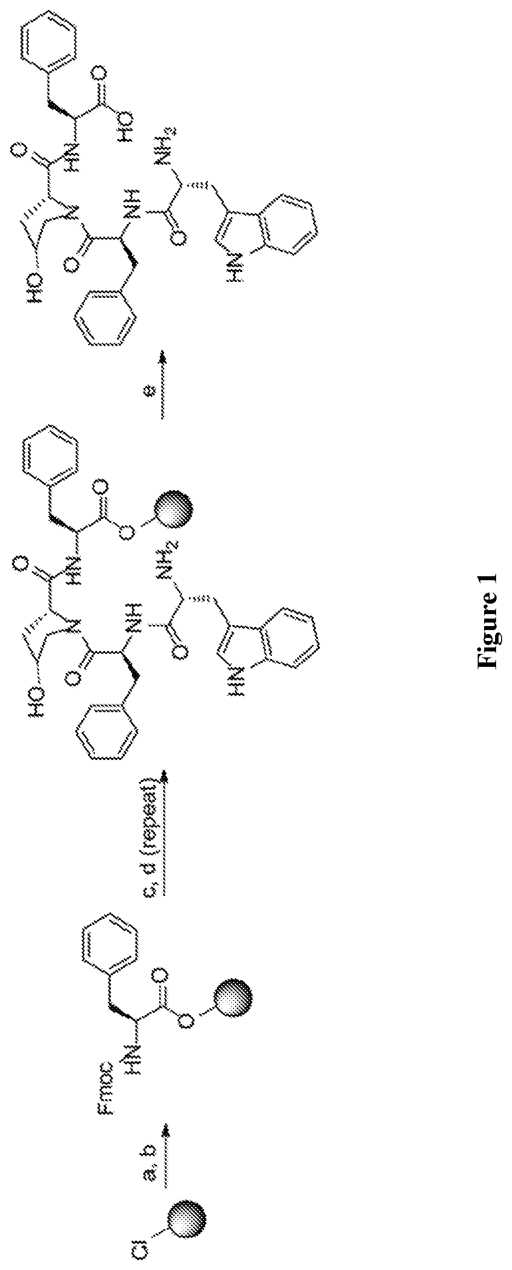 Macrocyclic peptides and derivatives thereof with opioid activity