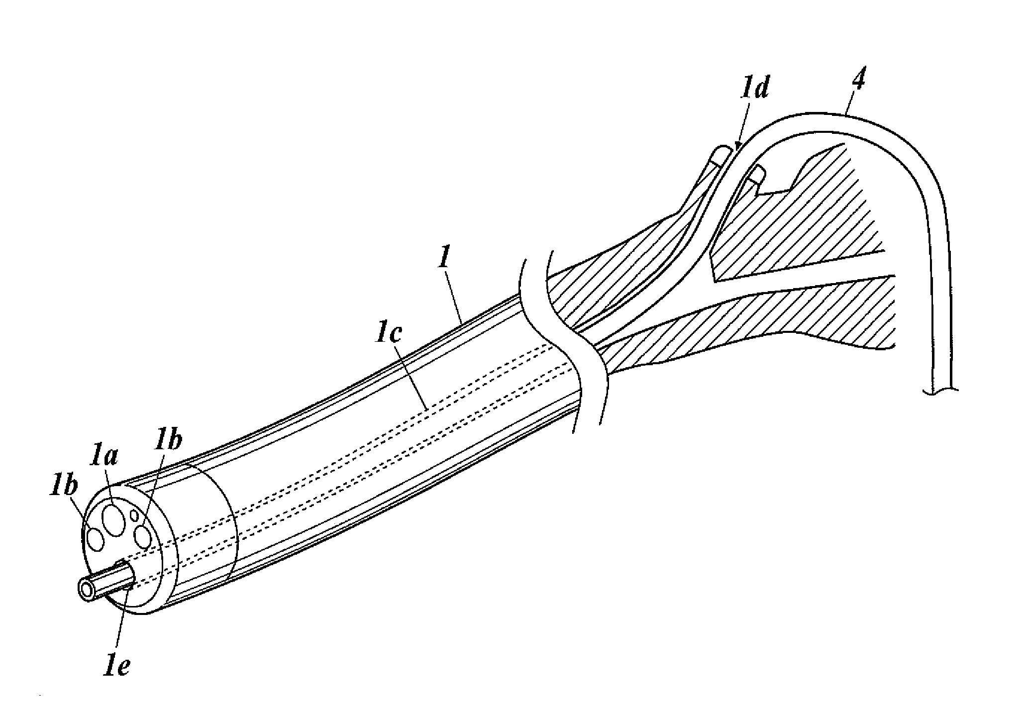 Probe, Diagnosis Device, and Method for Using the Diagnosis Device