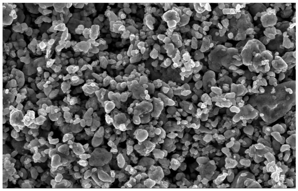 Lithium iron phosphate composite material and preparation method and application thereof