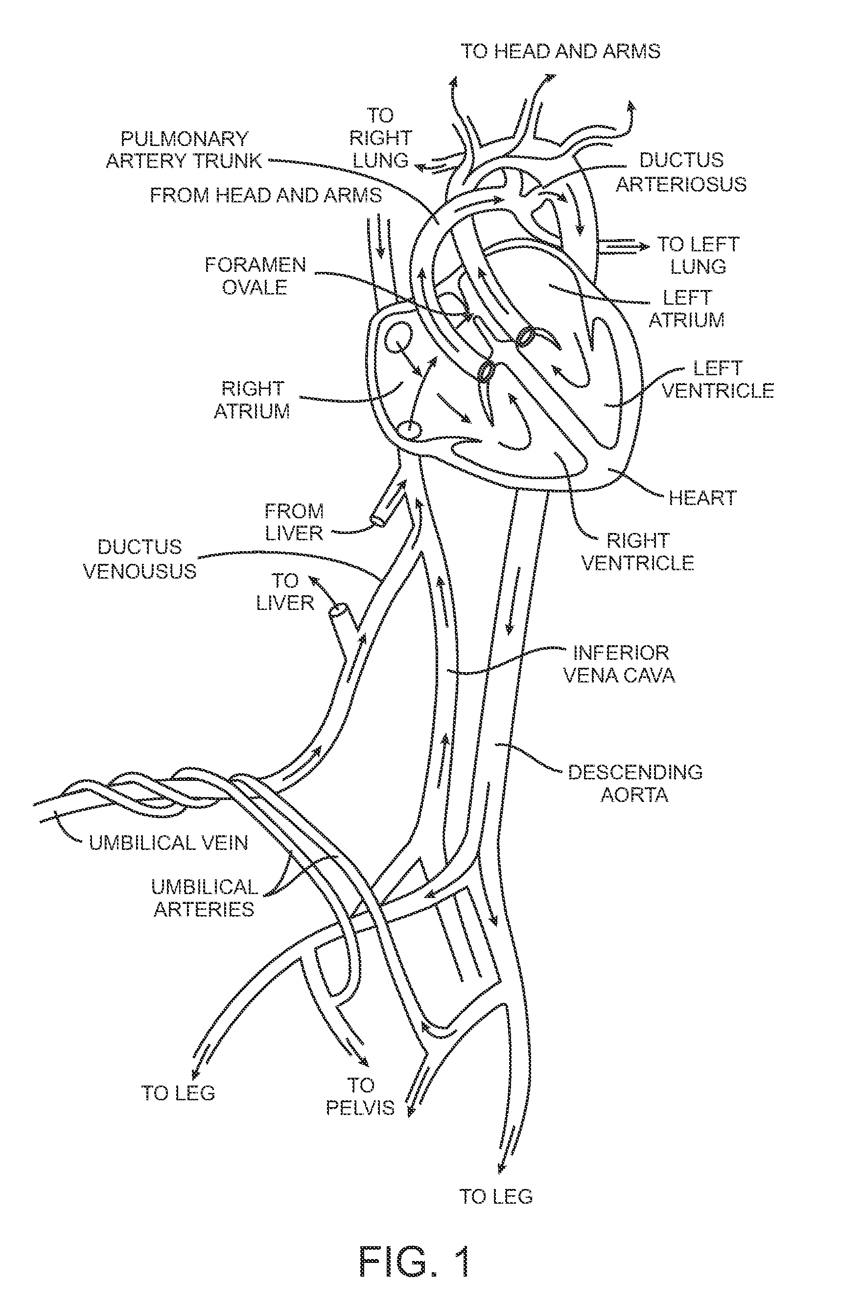 Methods and apparatus for closing a layered tissue defect