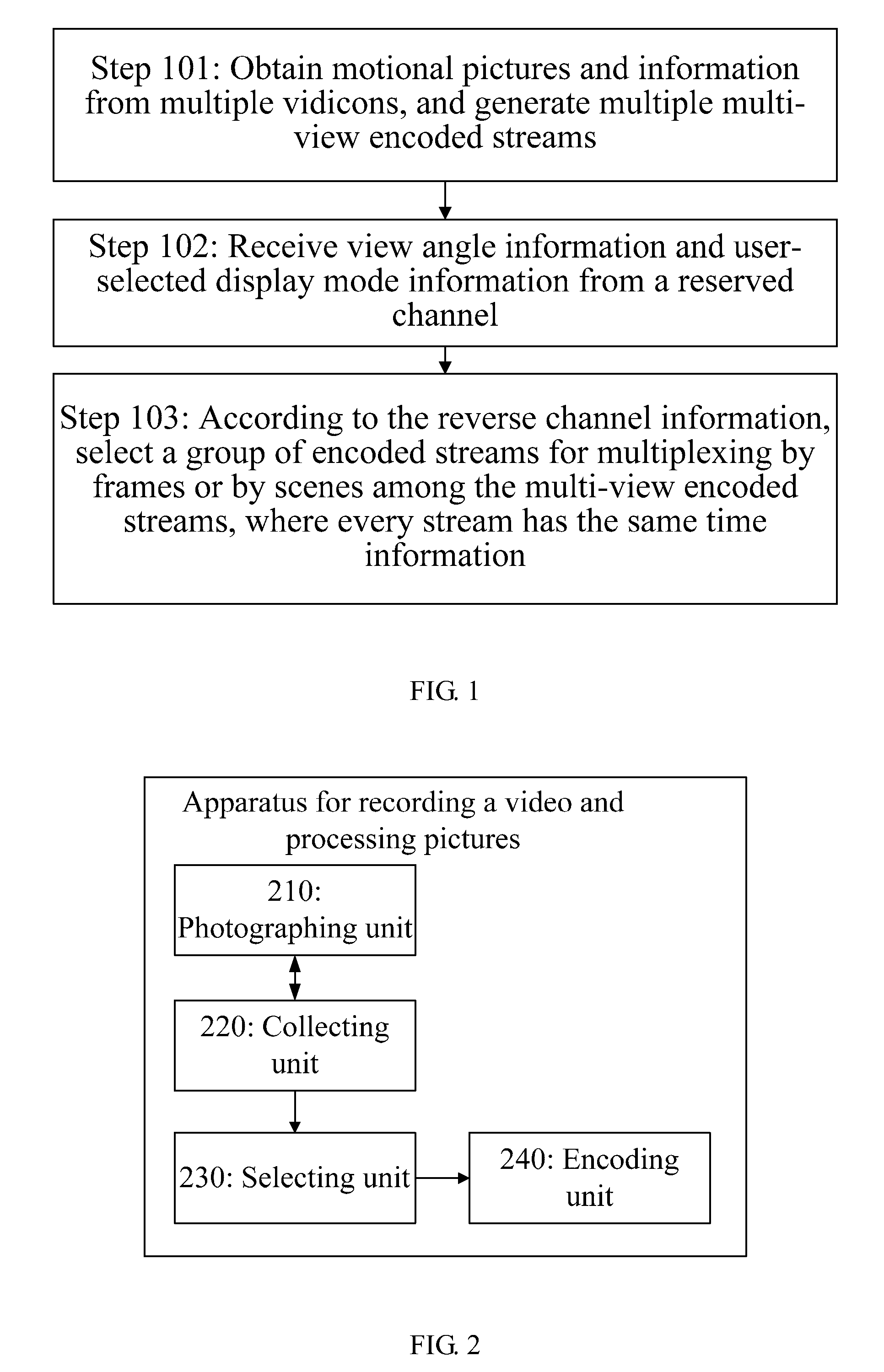 Apparatus, System and Method for Recording a Multi-View Video and Processing Pictures, and Decoding Method