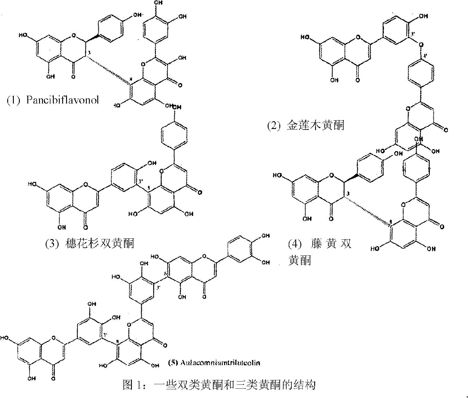 Synthesis of C-3 coupled biflavonoids and C-3 coupled biflavonoid analogues