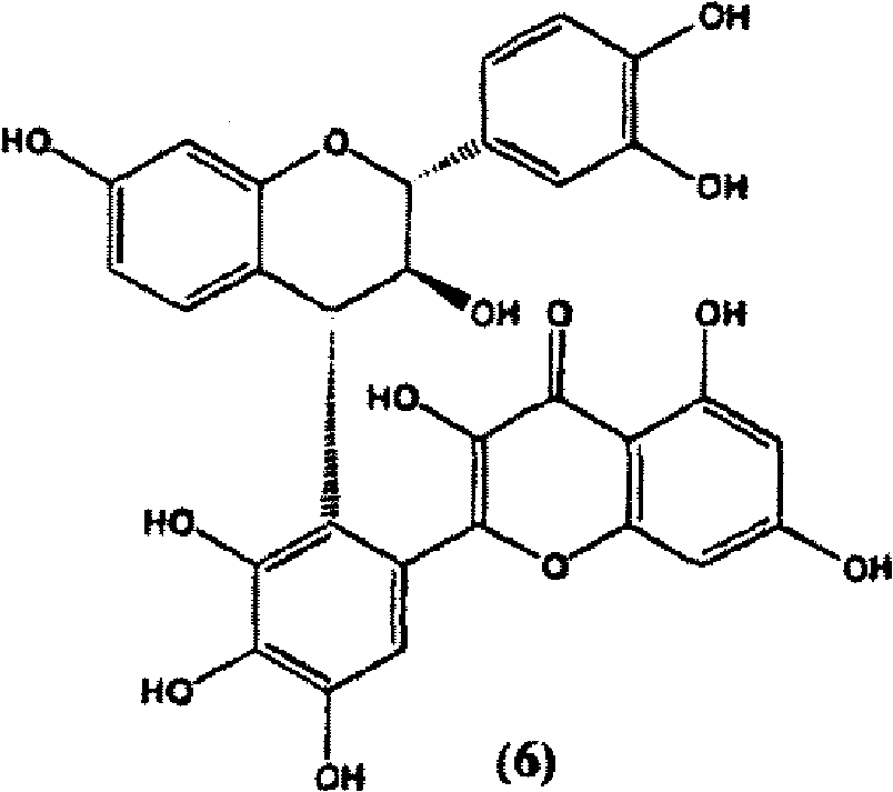 Synthesis of C-3 coupled biflavonoids and C-3 coupled biflavonoid analogues