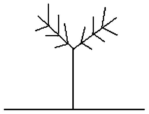 Alternating rejuvenating pruning method for controlling number of large branches and managing small branches of castanea mollissima