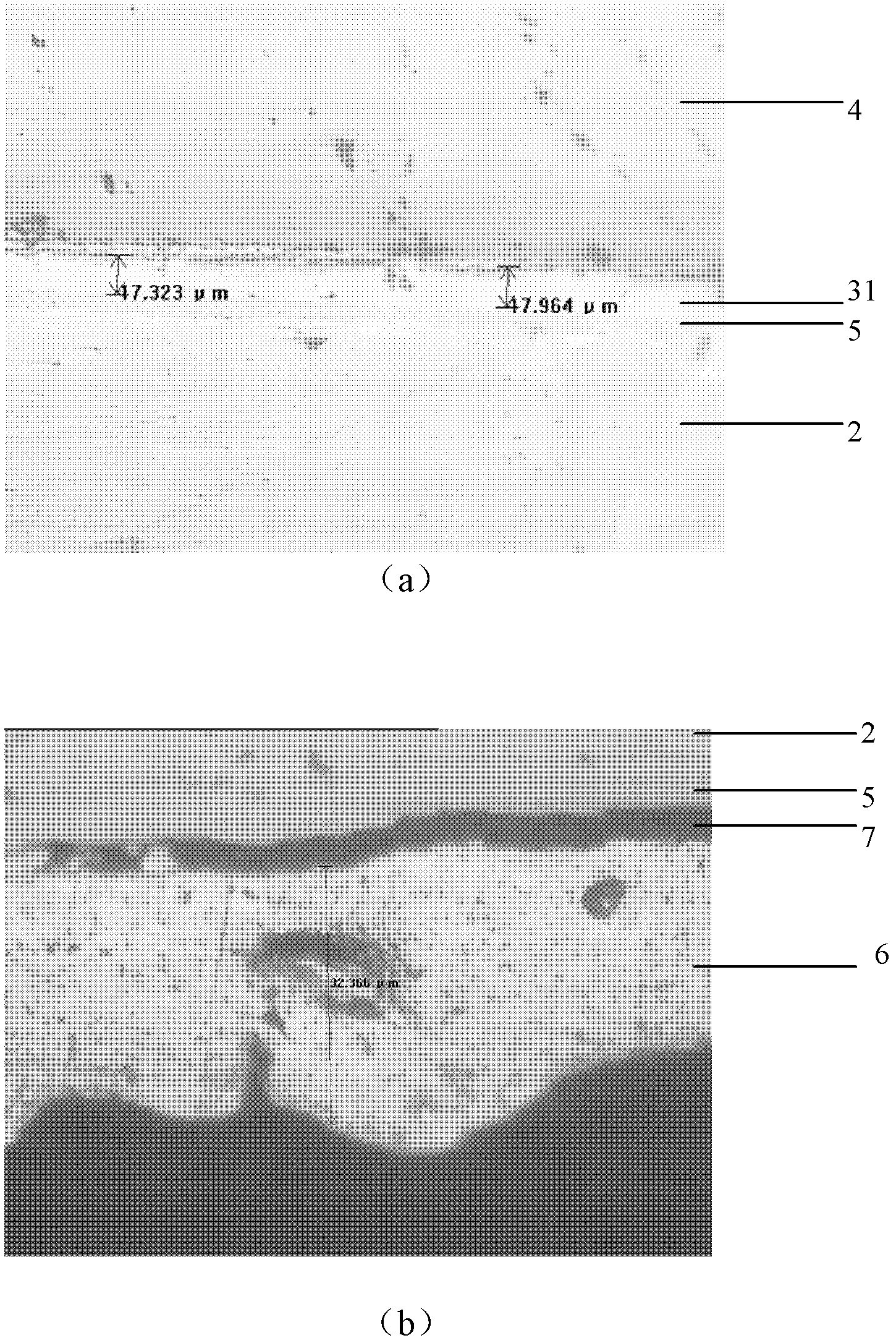 Improved silver paste, application thereof and sintering method of chip and main body of power module