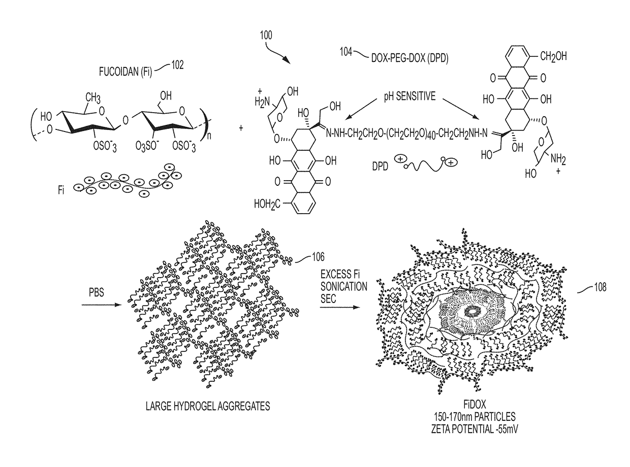 Fucoidan nanogels and methods of their use and manufacture