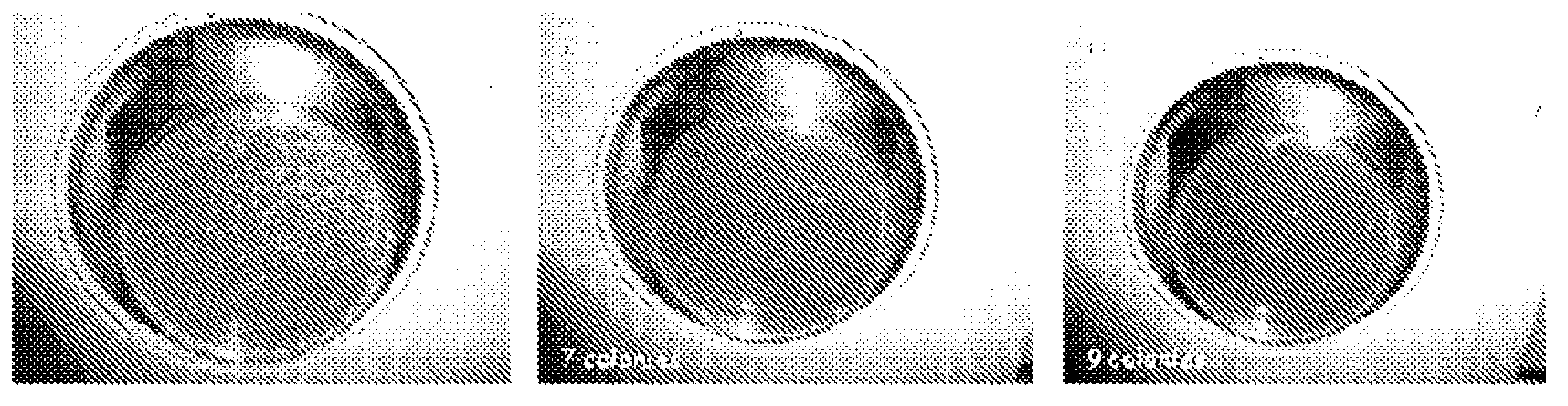 Nucleus coated with a film-orming coating having antibacterial and cicatrizing properties, and method for obtaining same