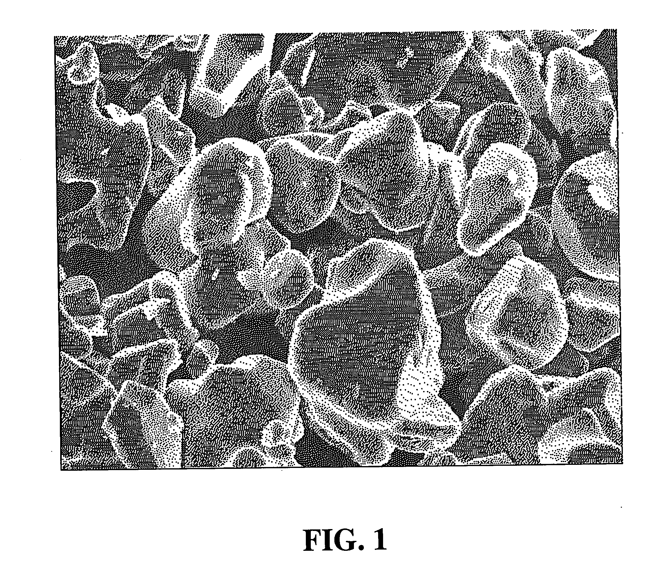 Lithium cobalt oxide, method for manufacturing the same, and nonaqueous electrolyte secondary battery
