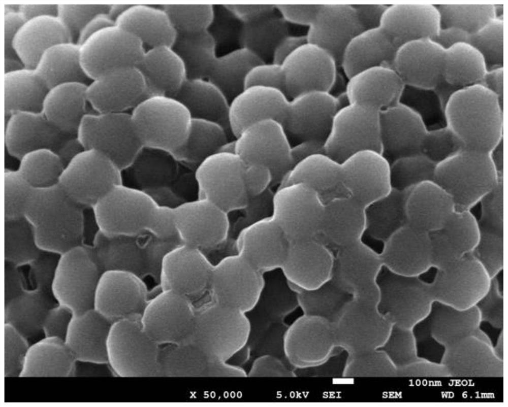 A method for preparing temperature-responsive iron-based nanozymes by reflux precipitation polymerization