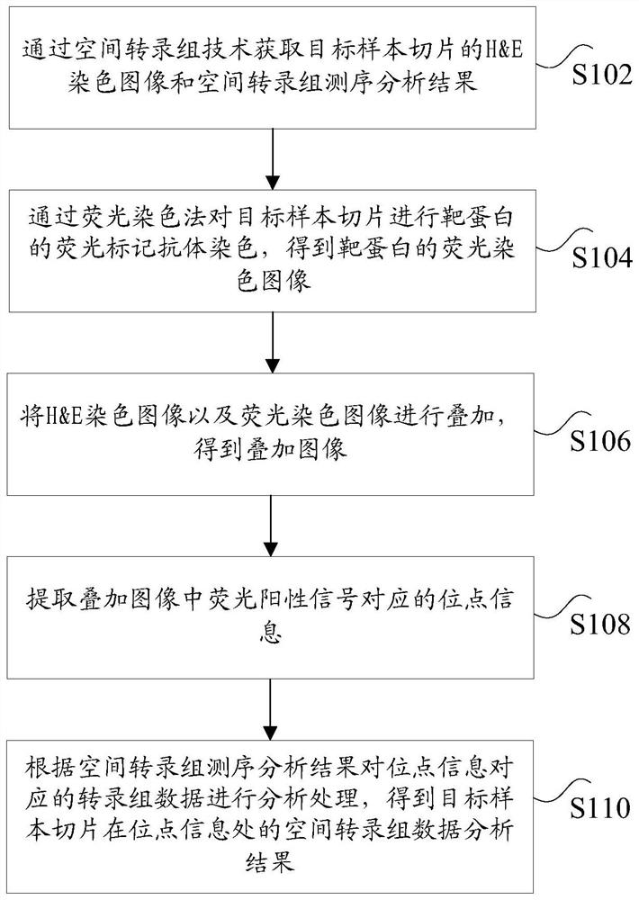 Spatial transcriptome data processing method and device and computer readable storage medium