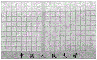 Large-area ultrathin single crystal and rapid growth method thereof