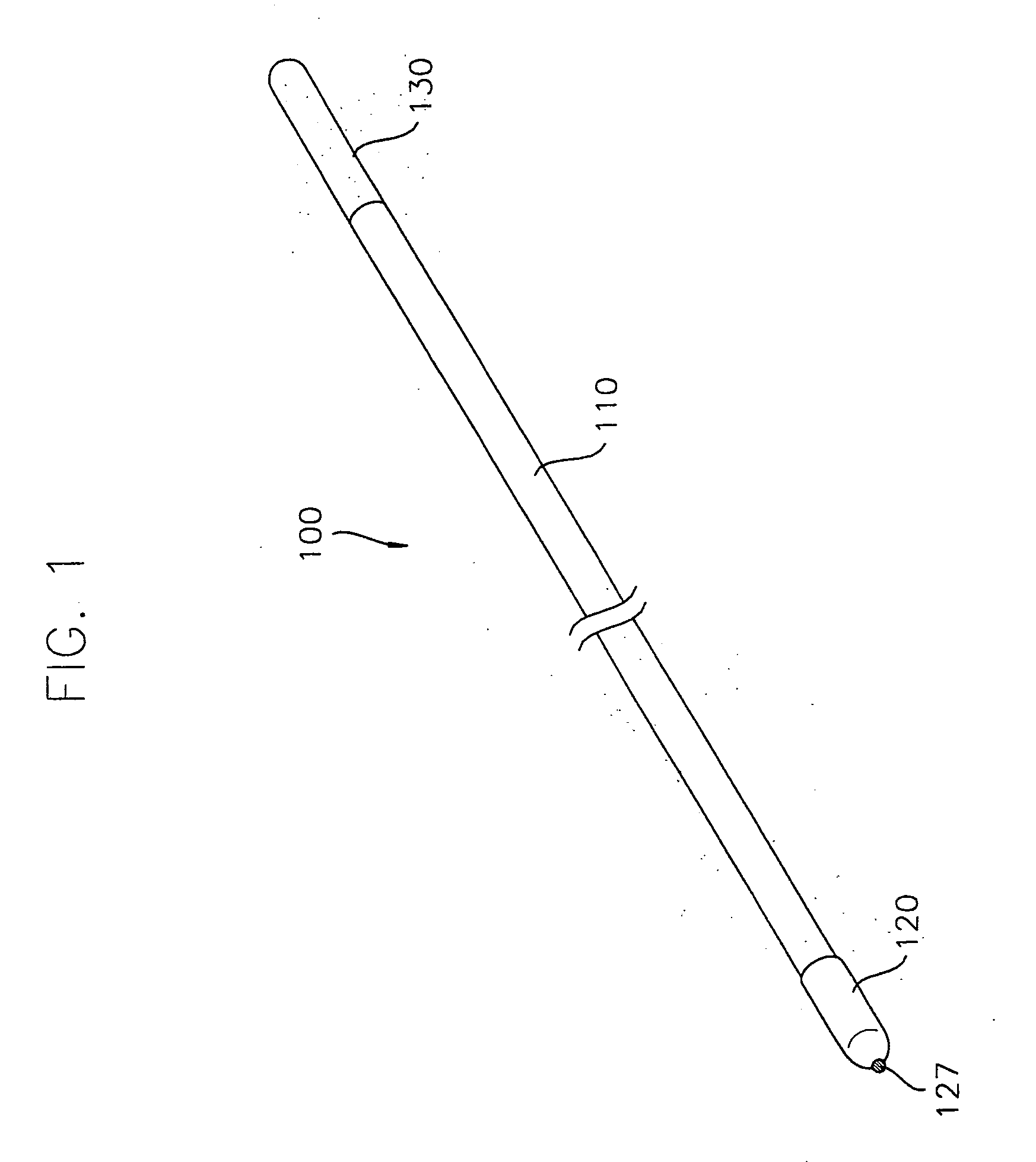 Cold cathode fluorescent lamp, container for receiving the same, and liquid crystal display device having the container