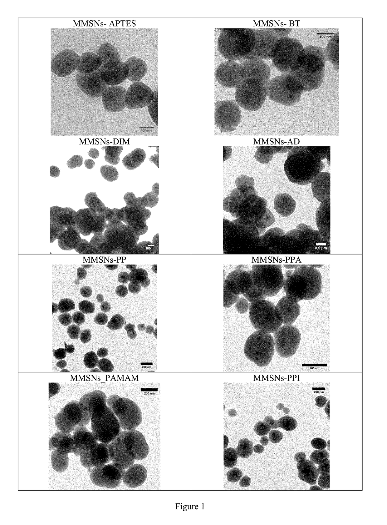 Use of Magnetic Mesoporous Silica Nanoparticles For Removing Uranium From Media