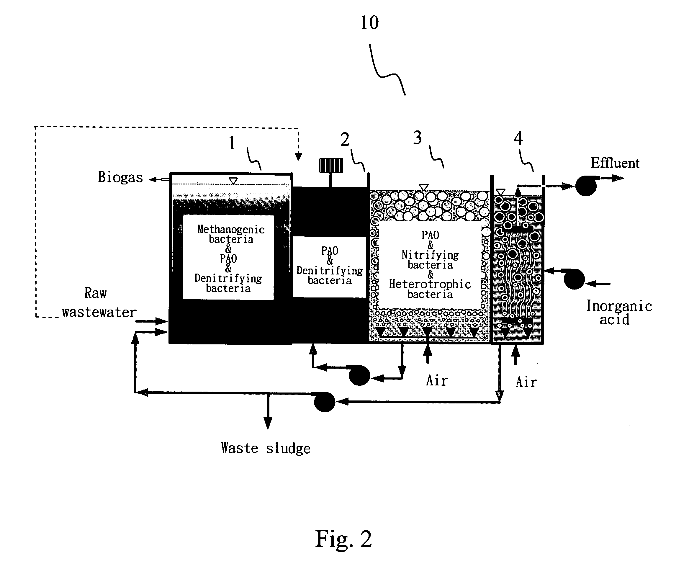 System and method for treating carbon, nitrogen, phosphorous containing wastewater