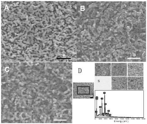 Rhodium-doped strontium titanate ultrathin nano-layer covered bismuth vanadate photoanode, and preparation method and application thereof