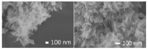 Enzyme/calcium salt/GO (graphene oxide) functional nanocomposite and preparation method thereof