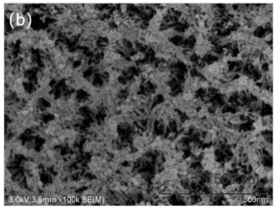 Preparation method and application of colorimetric array sensing label based on anodized aluminum oxide film for indicating freshness of marine fish