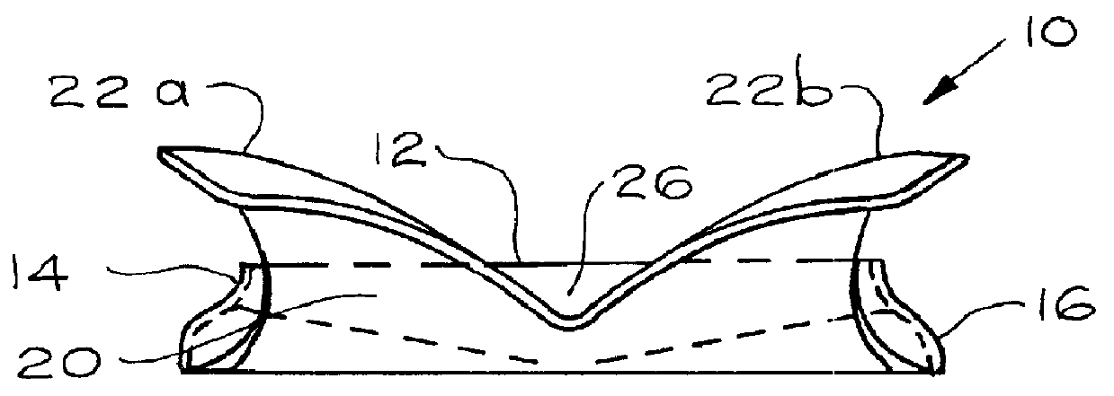 Multi-functional holder article and method of using same