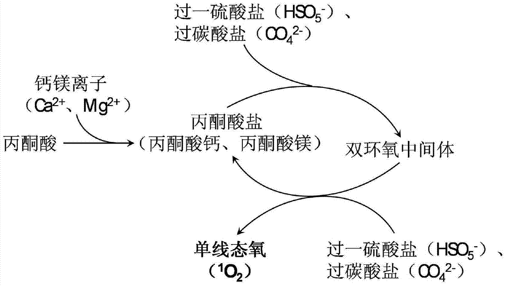 A method for treating reverse osmosis concentrate by using singlet oxygen