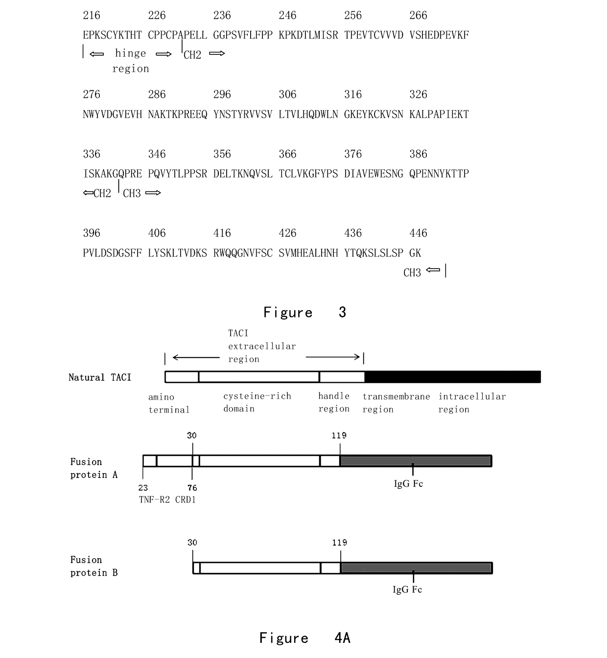 Fusion protein inhibiting taci-baff complex formation and preparation method therefor and use thereof