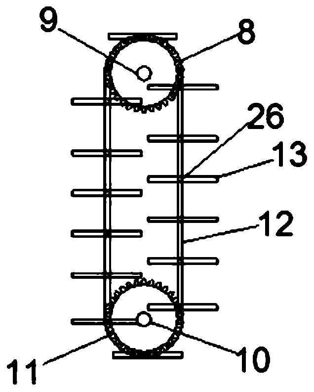 Fermentation production apparatus for edible fungus fermented food