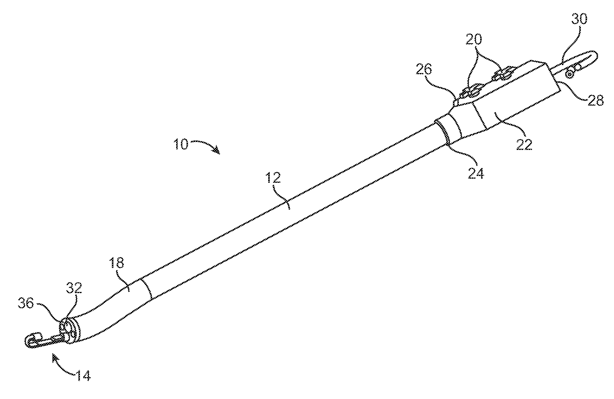 Endoscope assembly with a polarizing filter