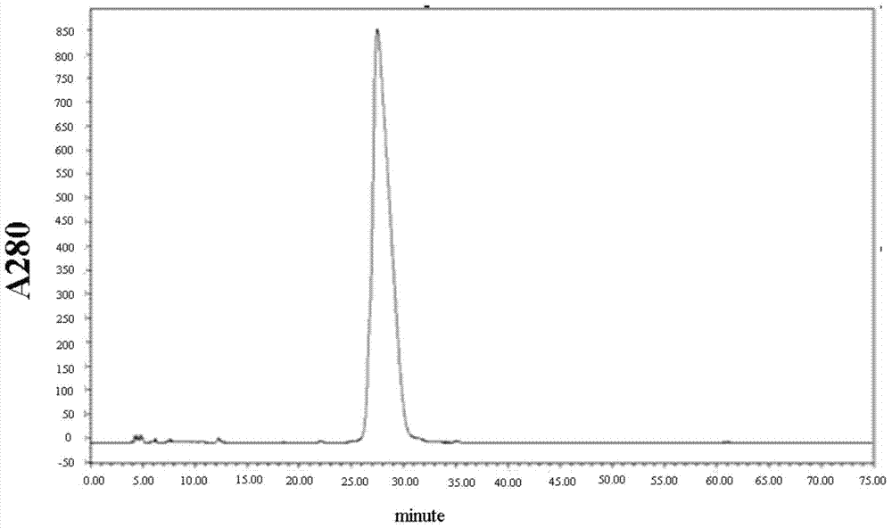 Recombinant expression, separation and purification method of human ribonuclease 4 protein