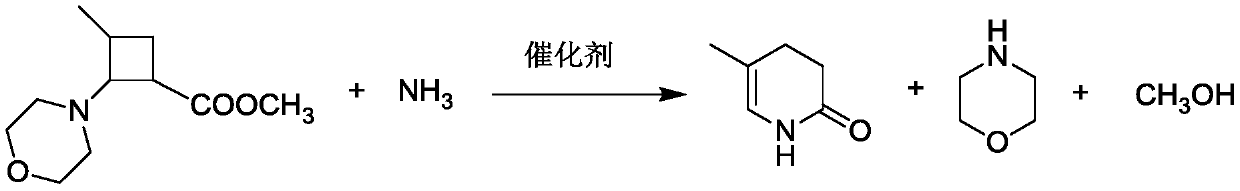 A method for catalytically synthesizing 5-methyl-3,4-dihydropyridin-2(1h)-one chemical intermediates