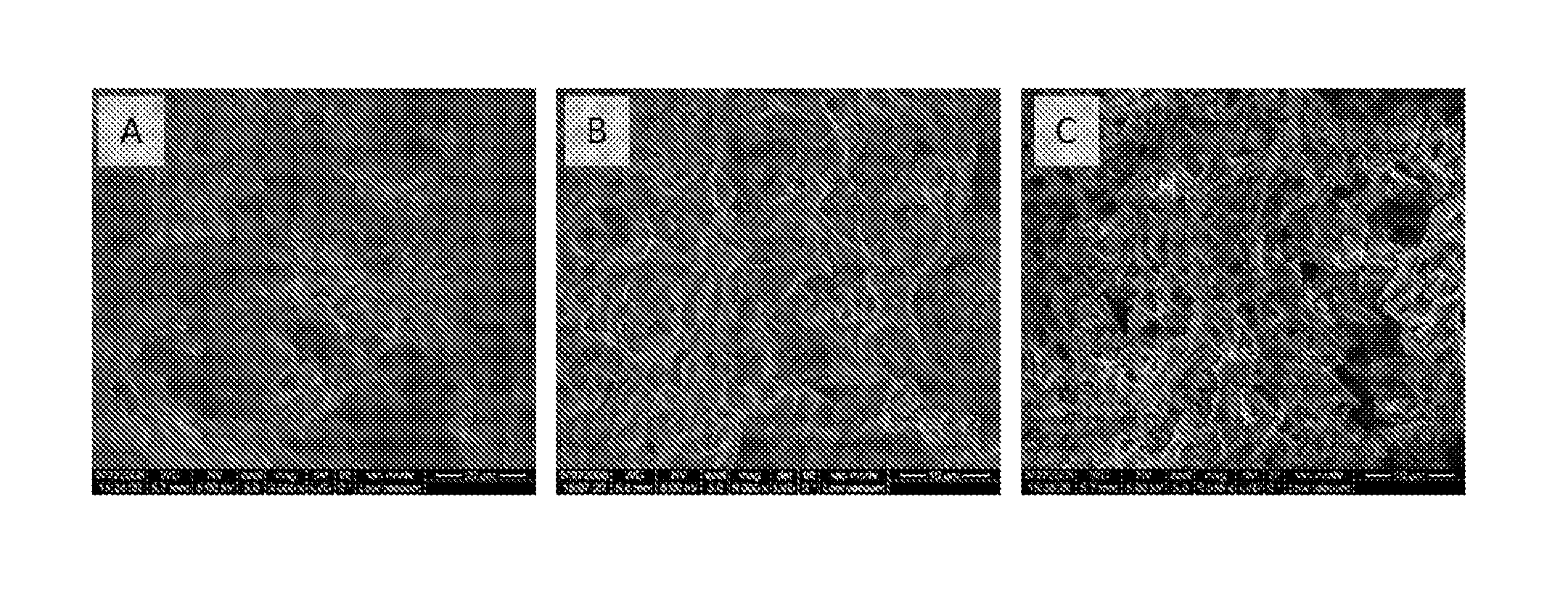 Three-dimensional nanostructured hybrid scaffold and manufacture thereof