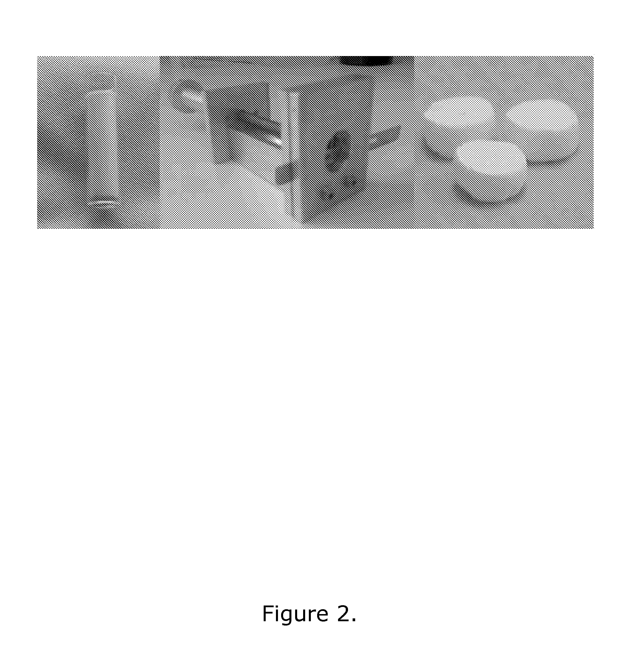 Three-dimensional nanostructured hybrid scaffold and manufacture thereof