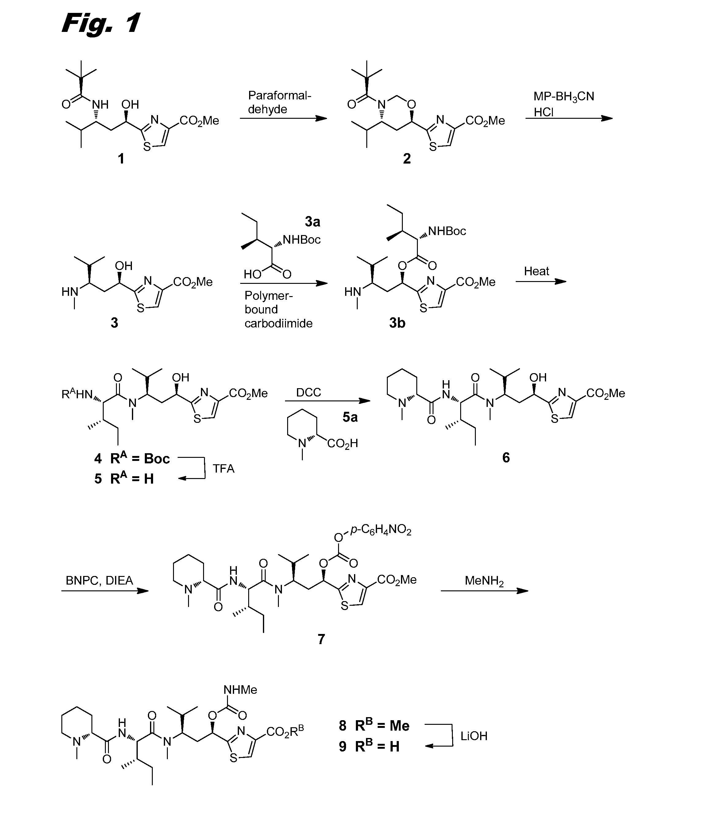 Tubulysin compounds, methods of making and use