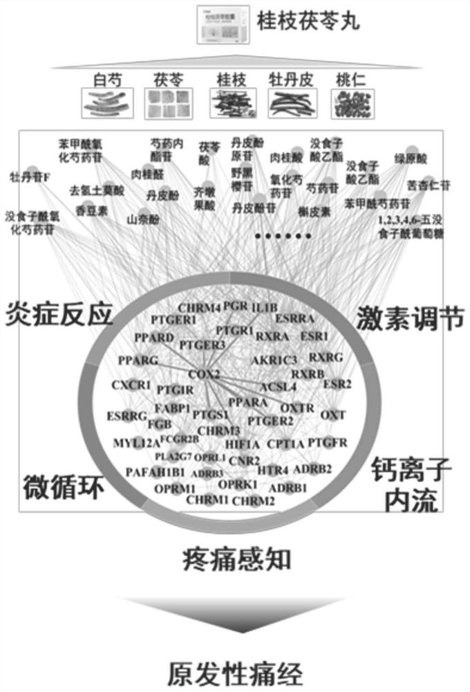 Application of combined marker in preparation of product for evaluating effect of Guizhi Fuling capsule on treating primary dysmenorrhea