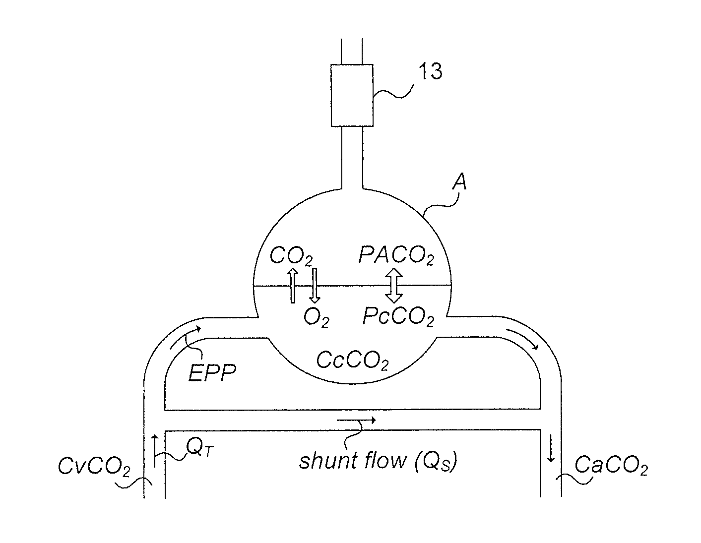 Method and apparatus for estimating shunt