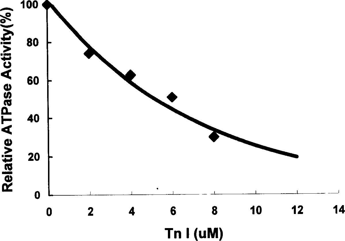 Human rapid contraction of skeletal muscle troponin I production and activity detection method