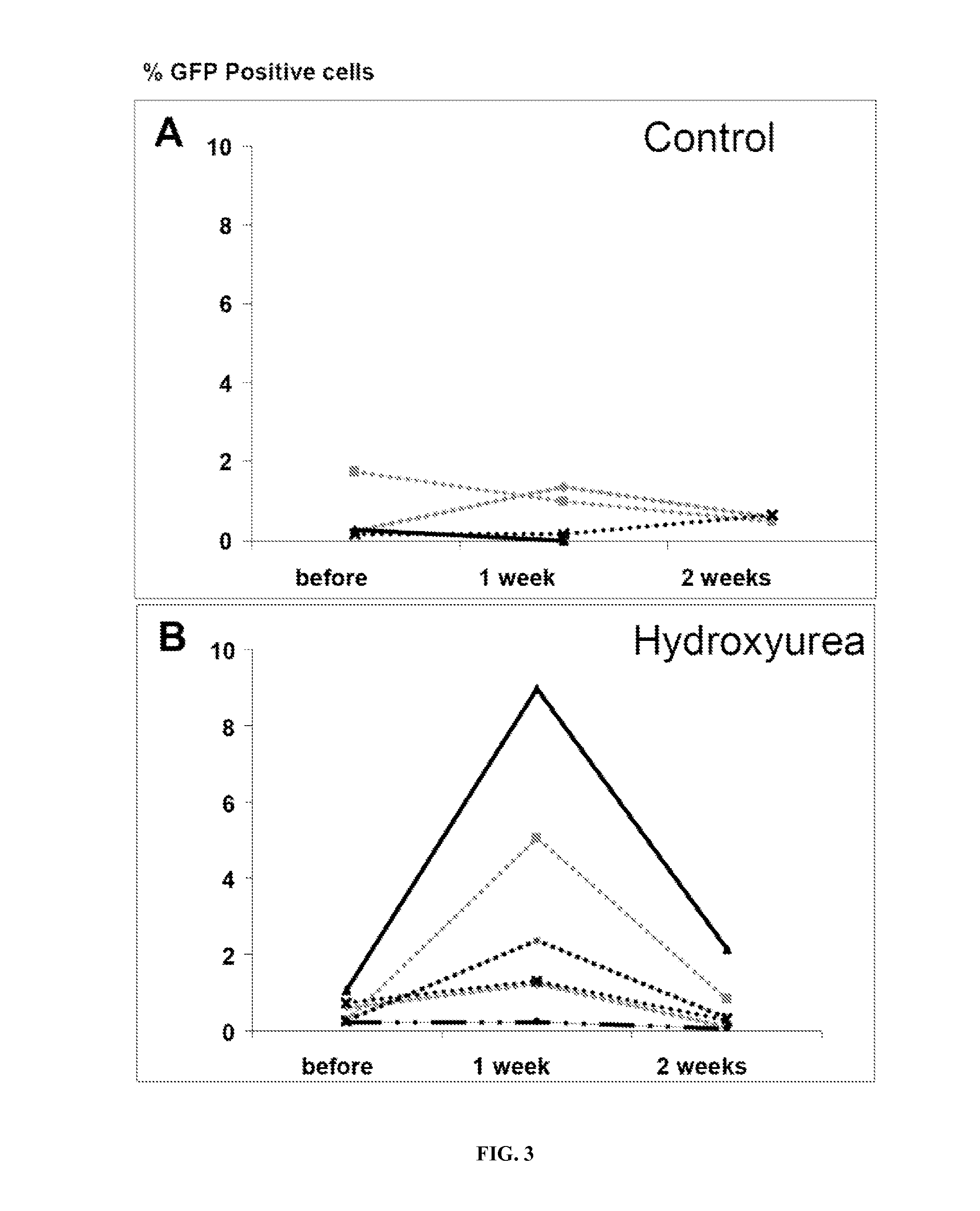 Transgenic cell selection