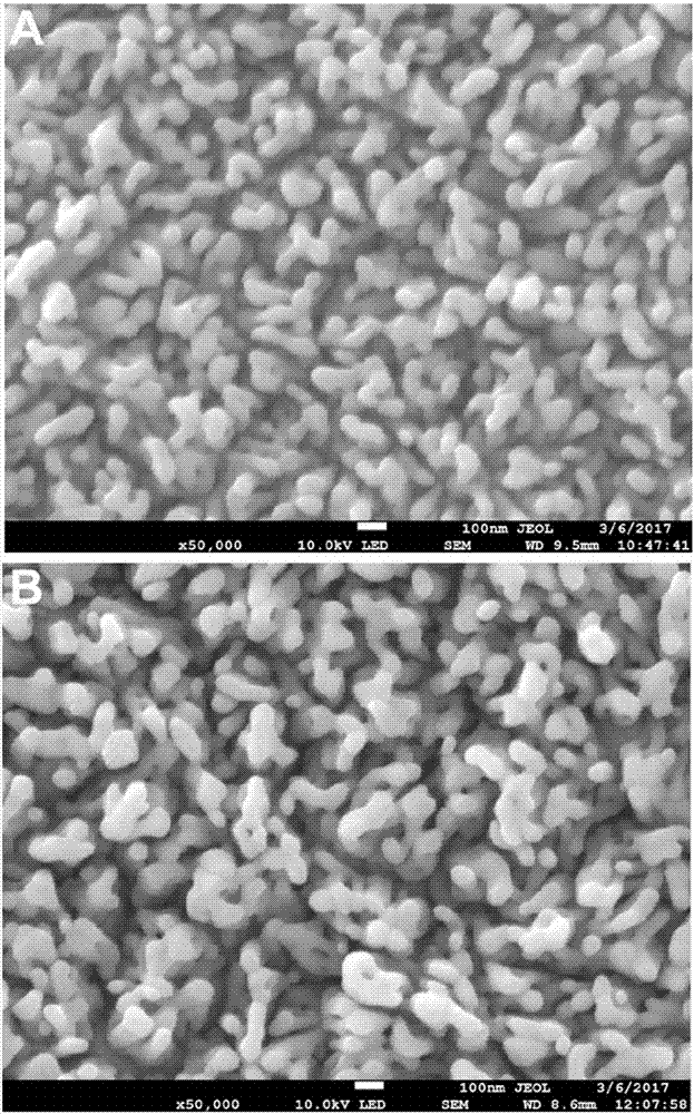 Cobaltosic oxide composite alpha type iron oxide vermicule nanostructure array photoanode and preparation method and application thereof