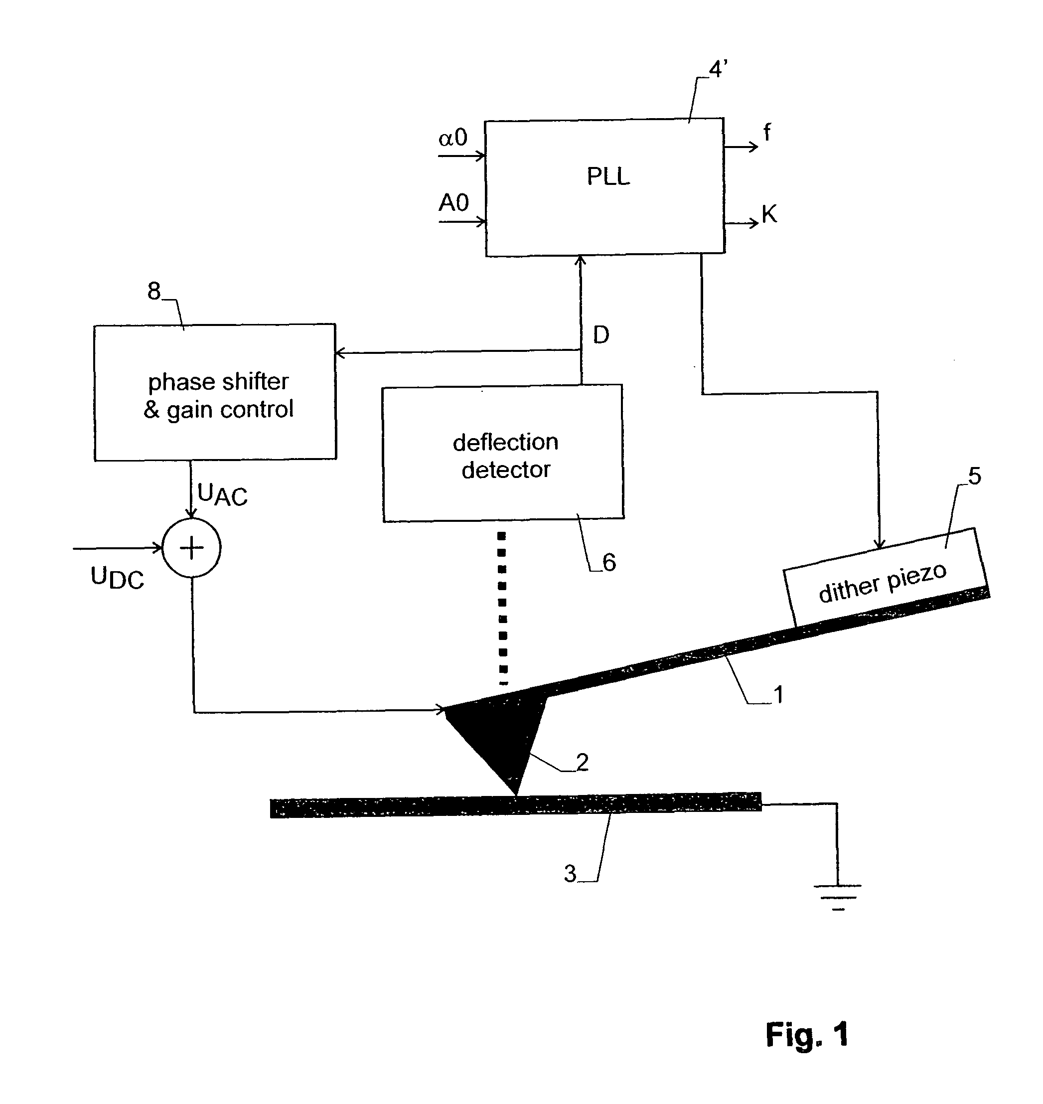 Method for Measuring a Piezoelectric Response by Means of a Scanning Probe Microscope