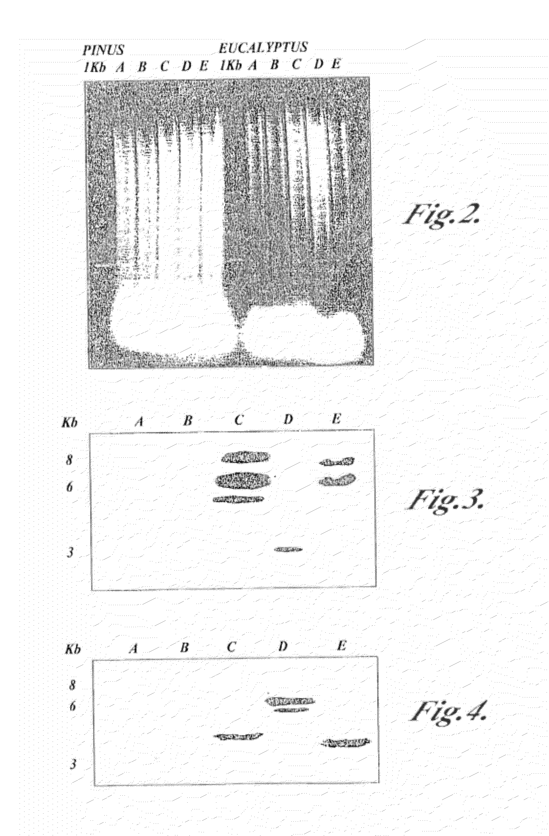 Materials and methods for the modification of plant lignin content