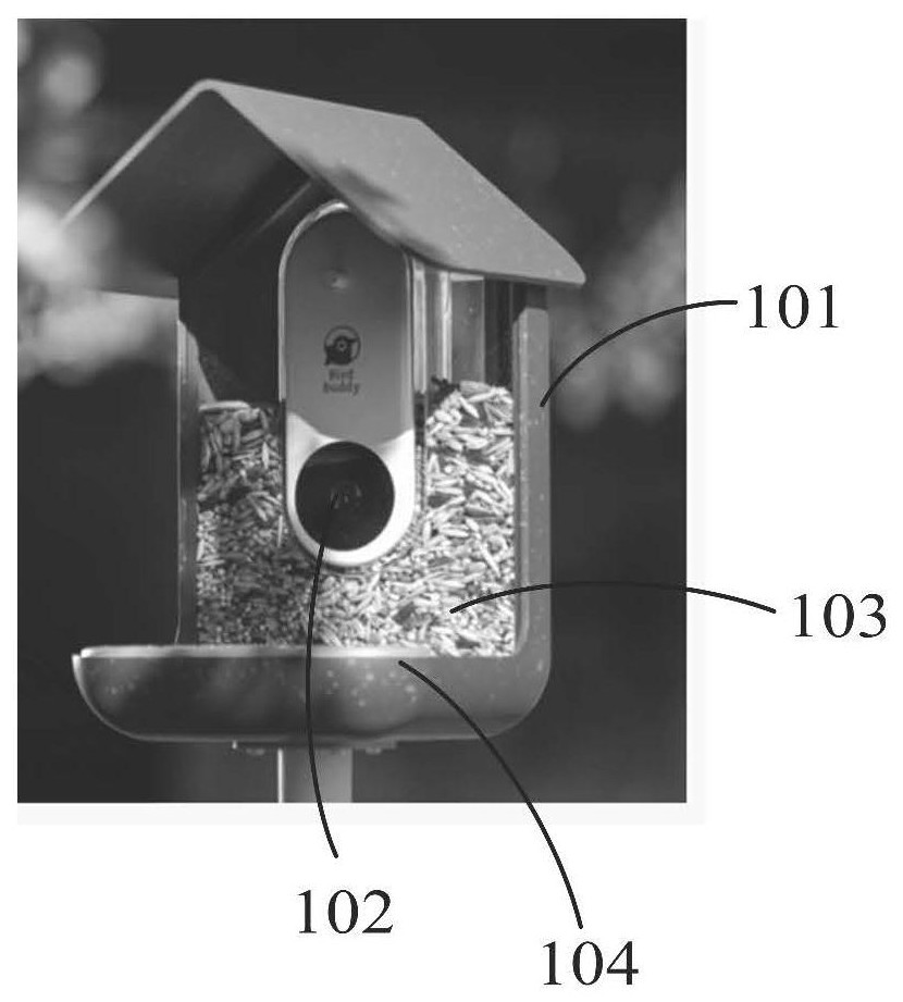 Intelligent bird feeding method, electronic equipment, bird feeder and storage medium