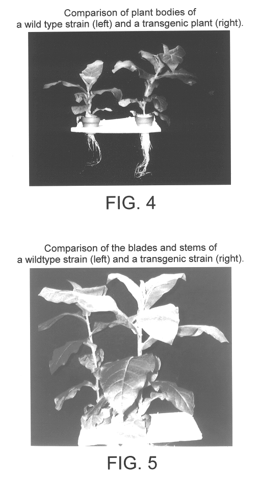 Method for improving productivity of higher plants